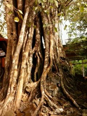 Ng&ocirc;i miếu cổ thờ đ&aacute; v&agrave; những bộ h&agrave;i cốt b&iacute; ẩn